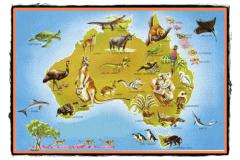 Animalele ciudate ale Australiei